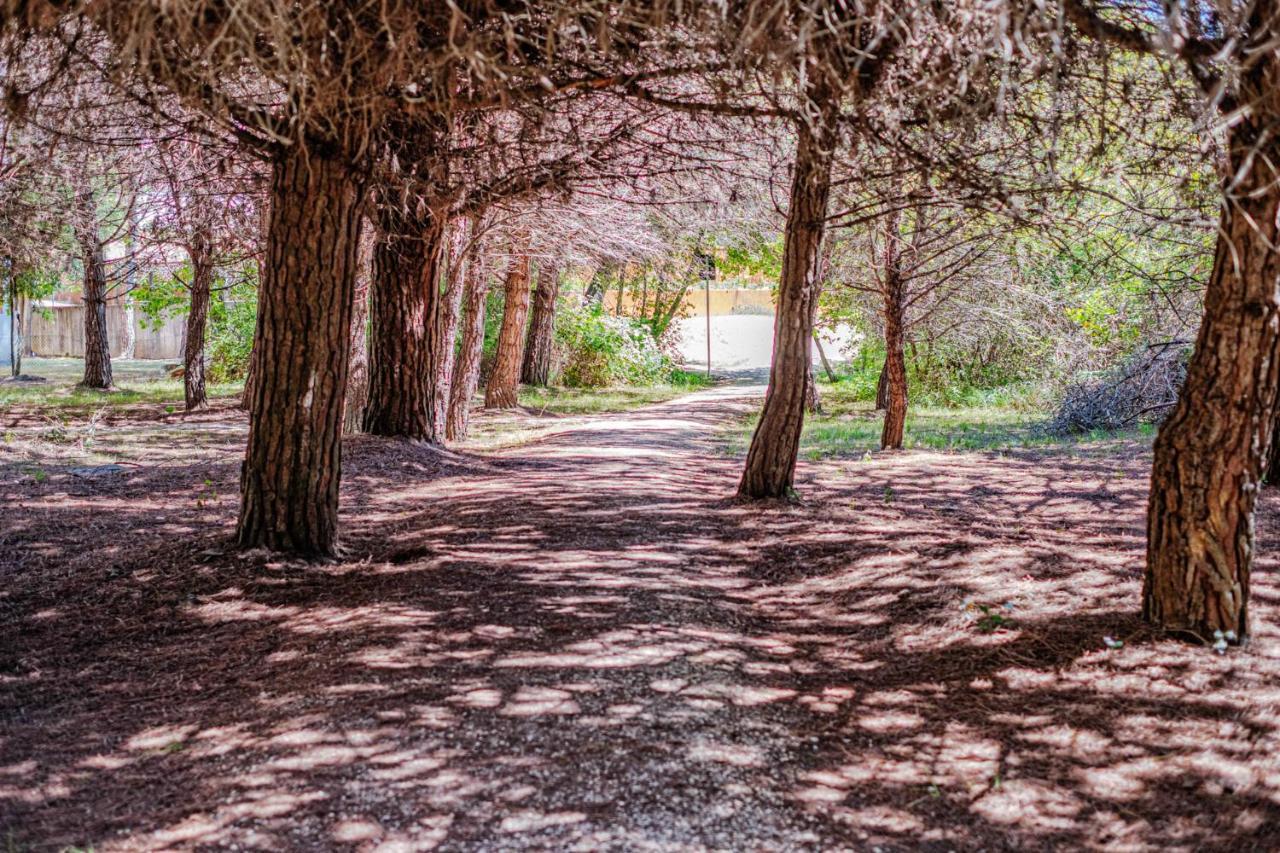 Bosco Canoro Bibione Resort Dış mekan fotoğraf
